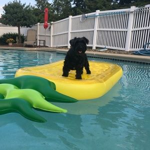 Meet your Posher, Kathie